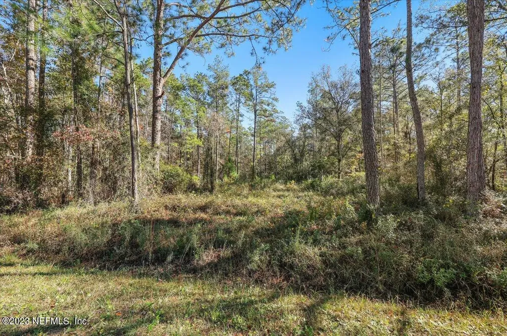 10690 Gregory Avenue Hastings FL 32145