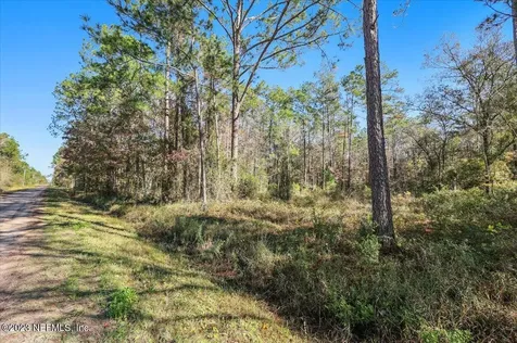 10690 Gregory Avenue Hastings FL 32145