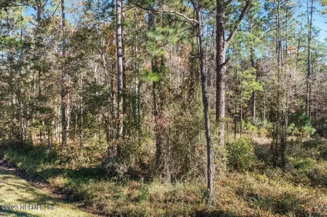 10690 Gregory Avenue Hastings FL 32145