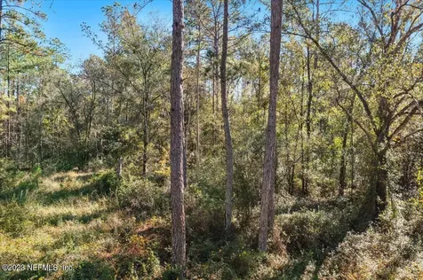 10690 Gregory Avenue Hastings FL 32145