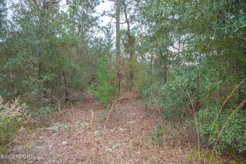 6099 Harvard Avenue Keystone Heights FL 32656