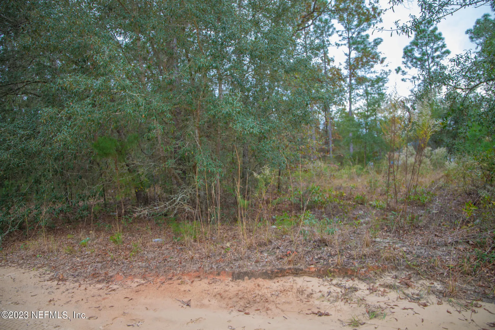 6099 Harvard Avenue Keystone Heights FL 32656