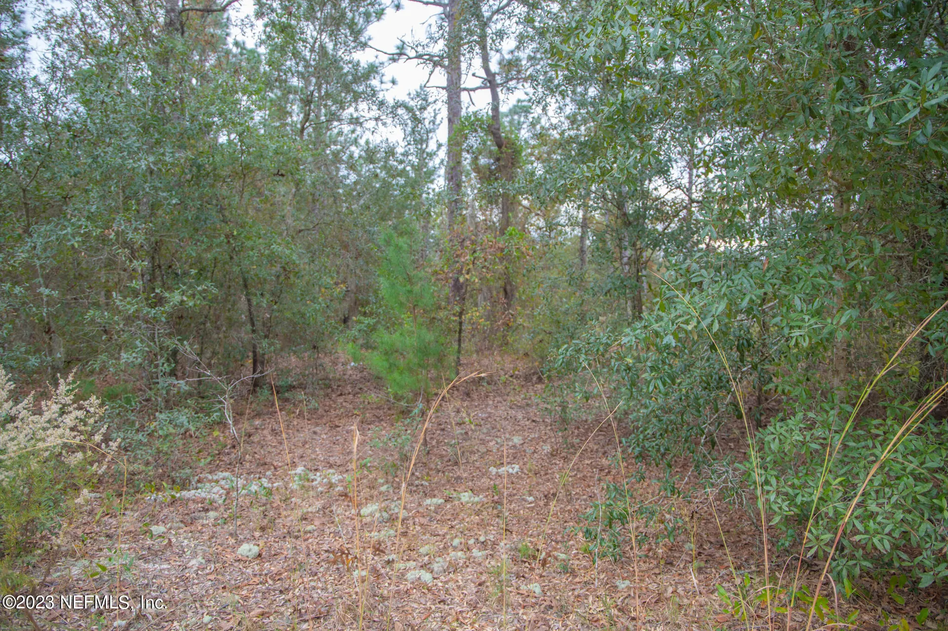 6099 Harvard Avenue Keystone Heights FL 32656