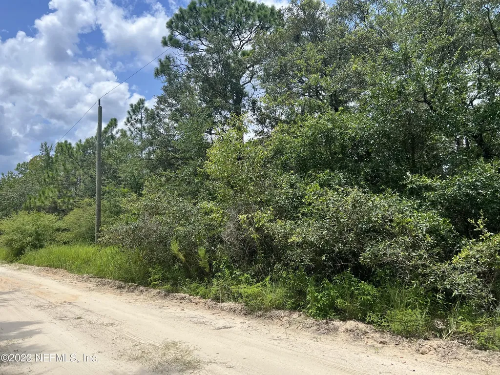 236 Papaya Street Pomona Park FL 32181