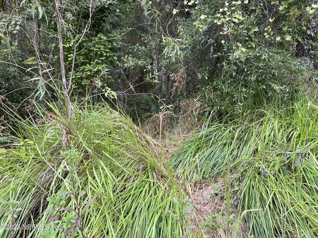 102 Bowfin Drive Satsuma FL 32189