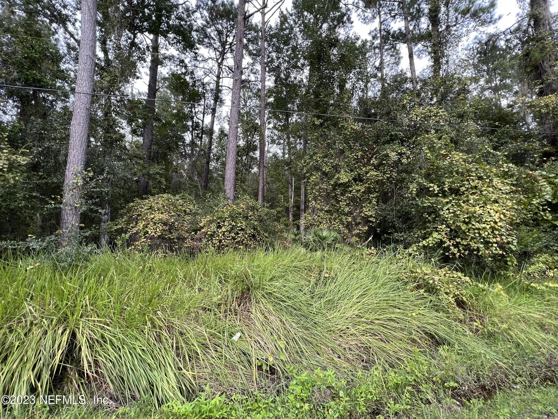 102 Bowfin Drive Satsuma FL 32189