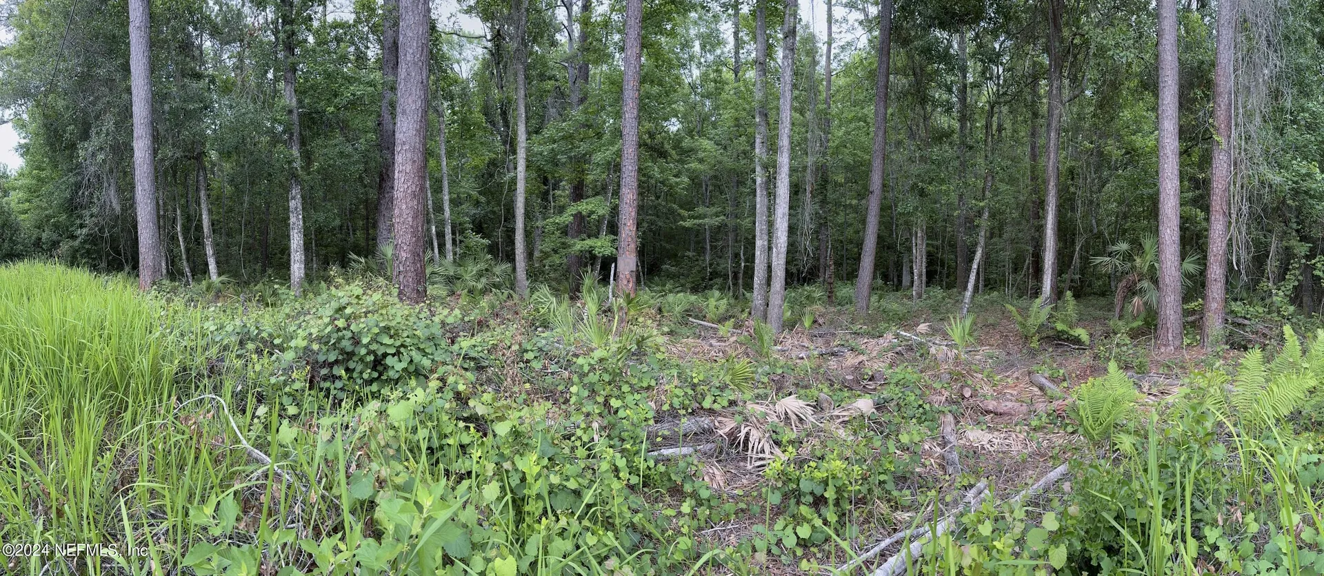 102 Bowfin Drive Satsuma FL 32189