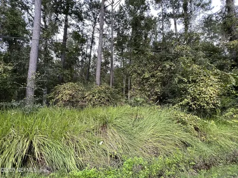 102 Bowfin Drive Satsuma FL 32189