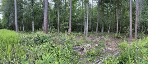 102 Bowfin Drive Satsuma FL 32189