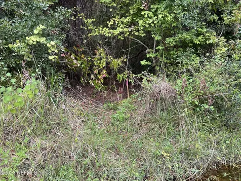 102 Bowfin Drive Satsuma FL 32189