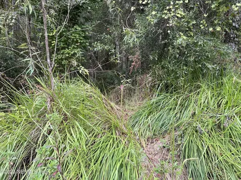 102 Bowfin Drive Satsuma FL 32189