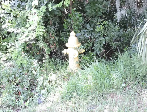 12532 Yellow Bluff Road Jacksonville FL 32226