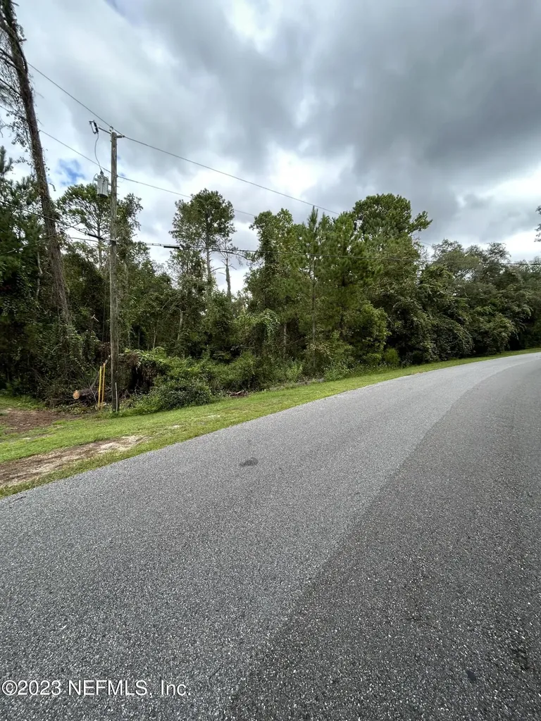 4431 Tarragon Avenue Middleburg FL 32068