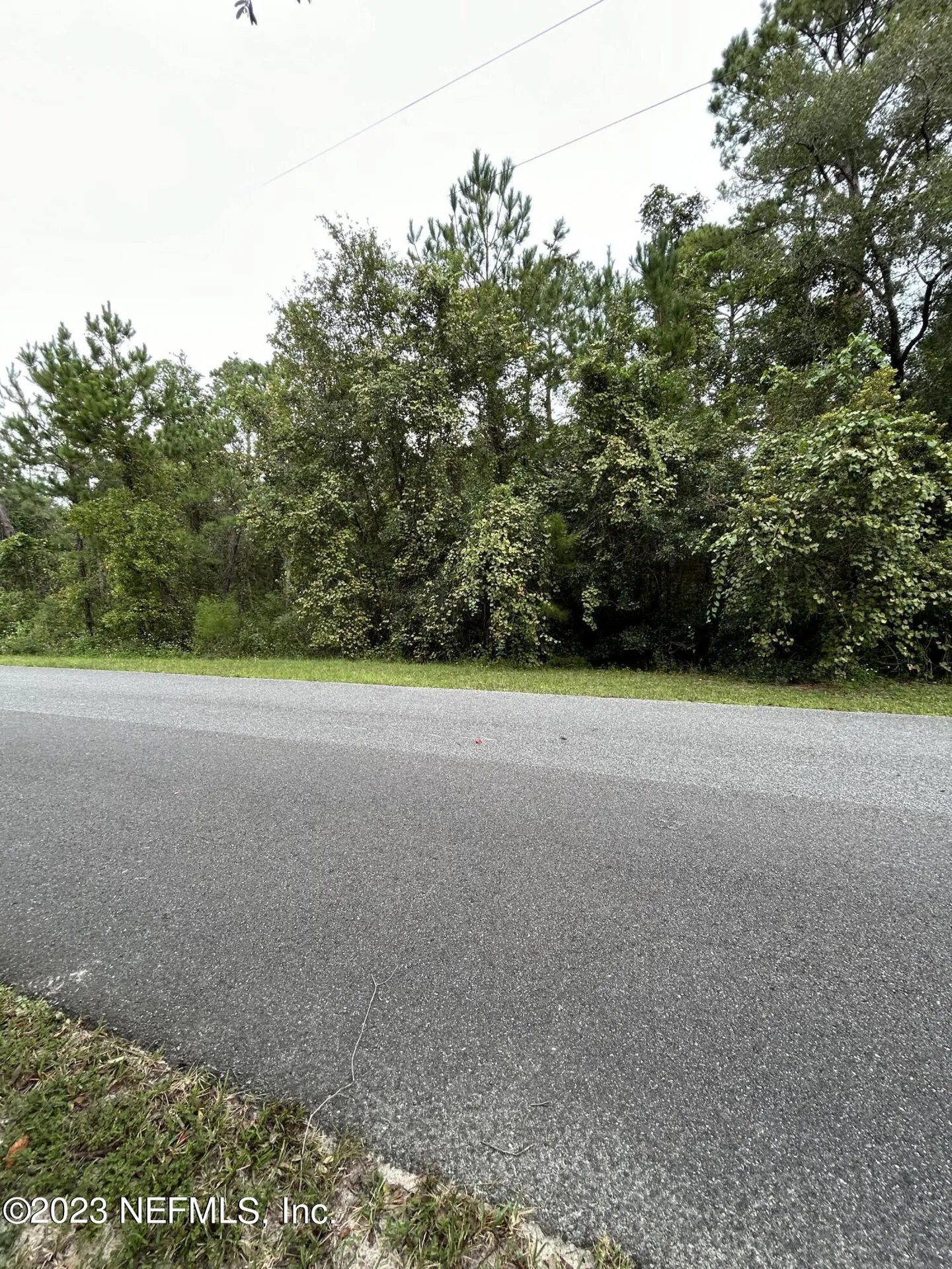 4431 Tarragon Avenue Middleburg FL 32068