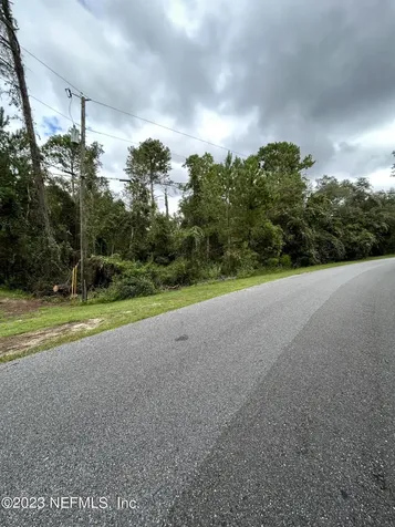 4431 Tarragon Avenue Middleburg FL 32068