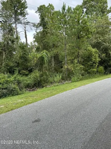 4431 Tarragon Avenue Middleburg FL 32068