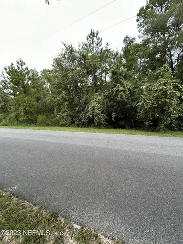 4431 Tarragon Avenue Middleburg FL 32068