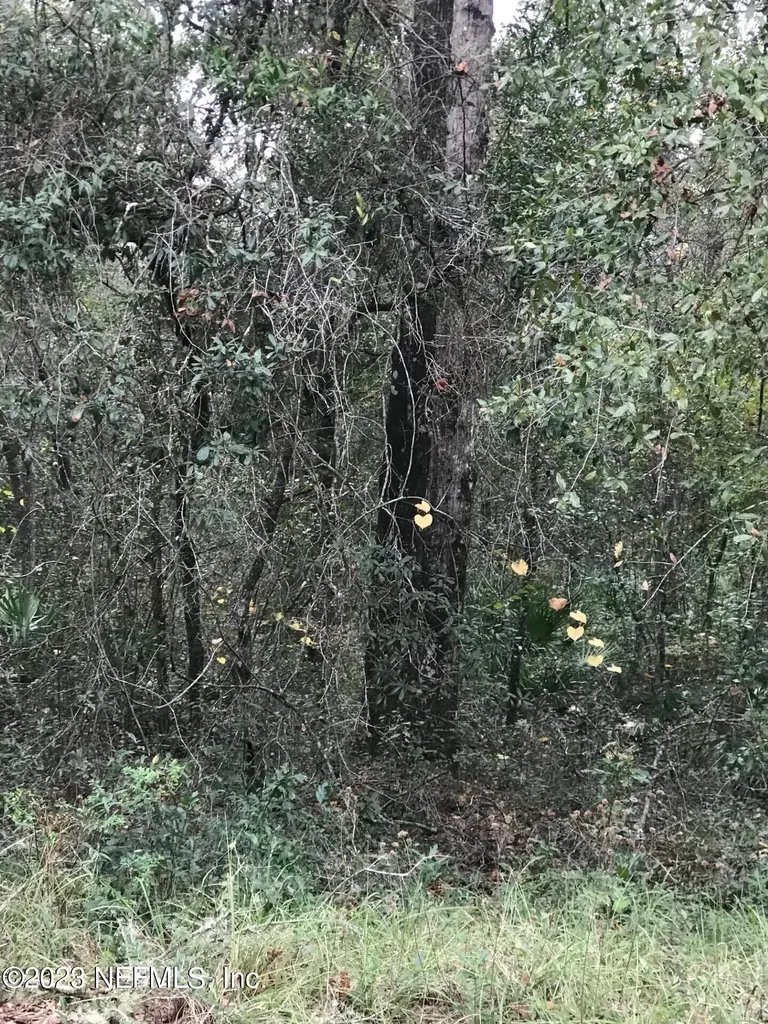 Lot 27 Brett Avenue Interlachen FL 32148