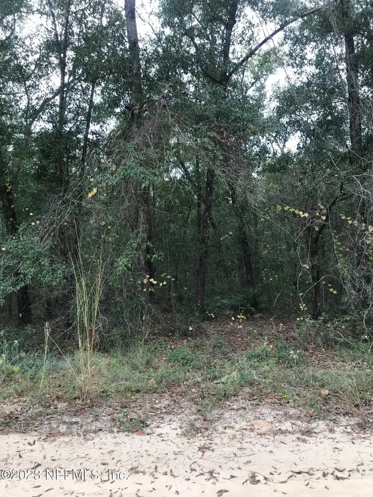 Lot 27 Brett Avenue Interlachen FL 32148