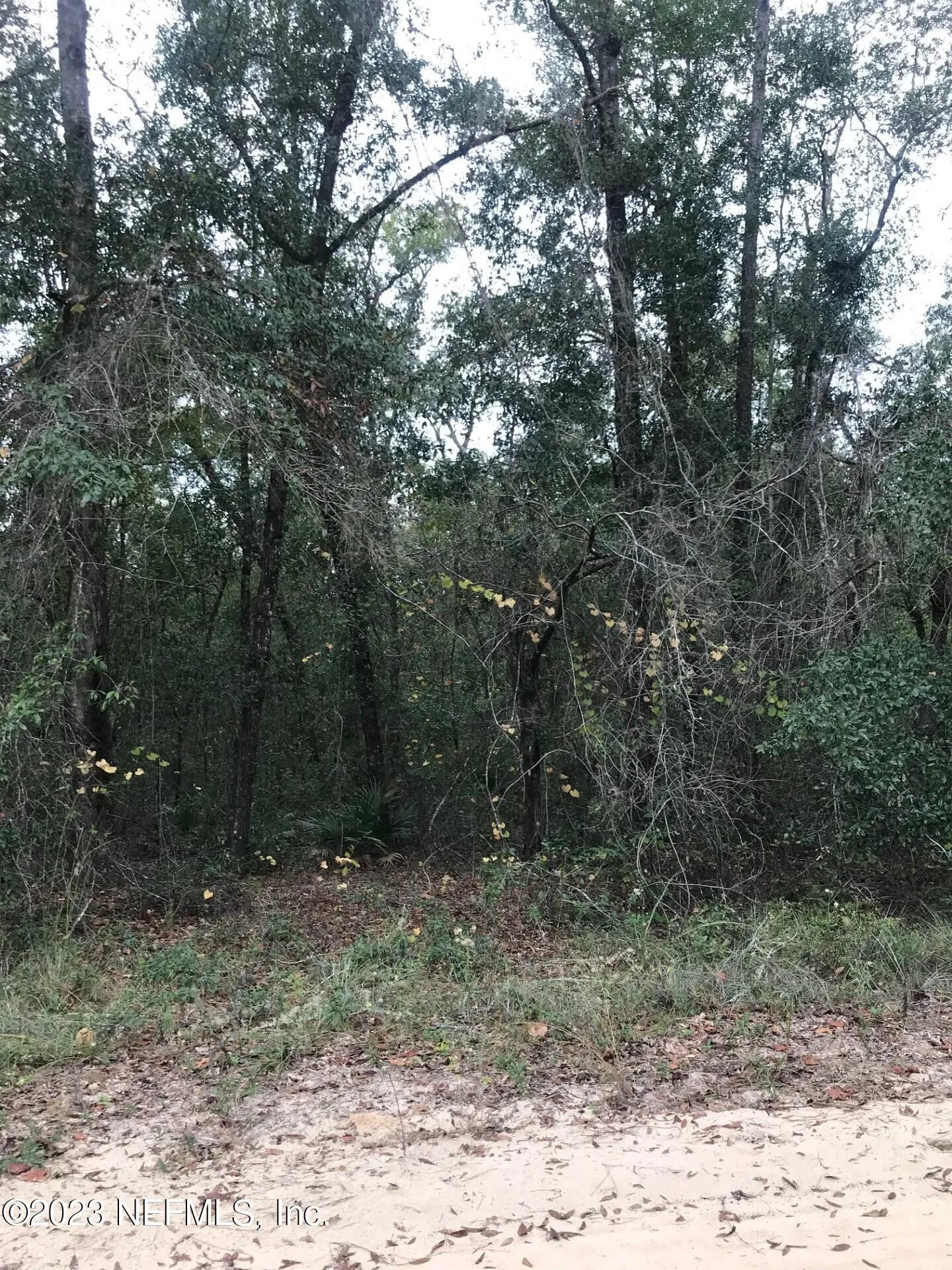 Lot 27 Brett Avenue Interlachen FL 32148