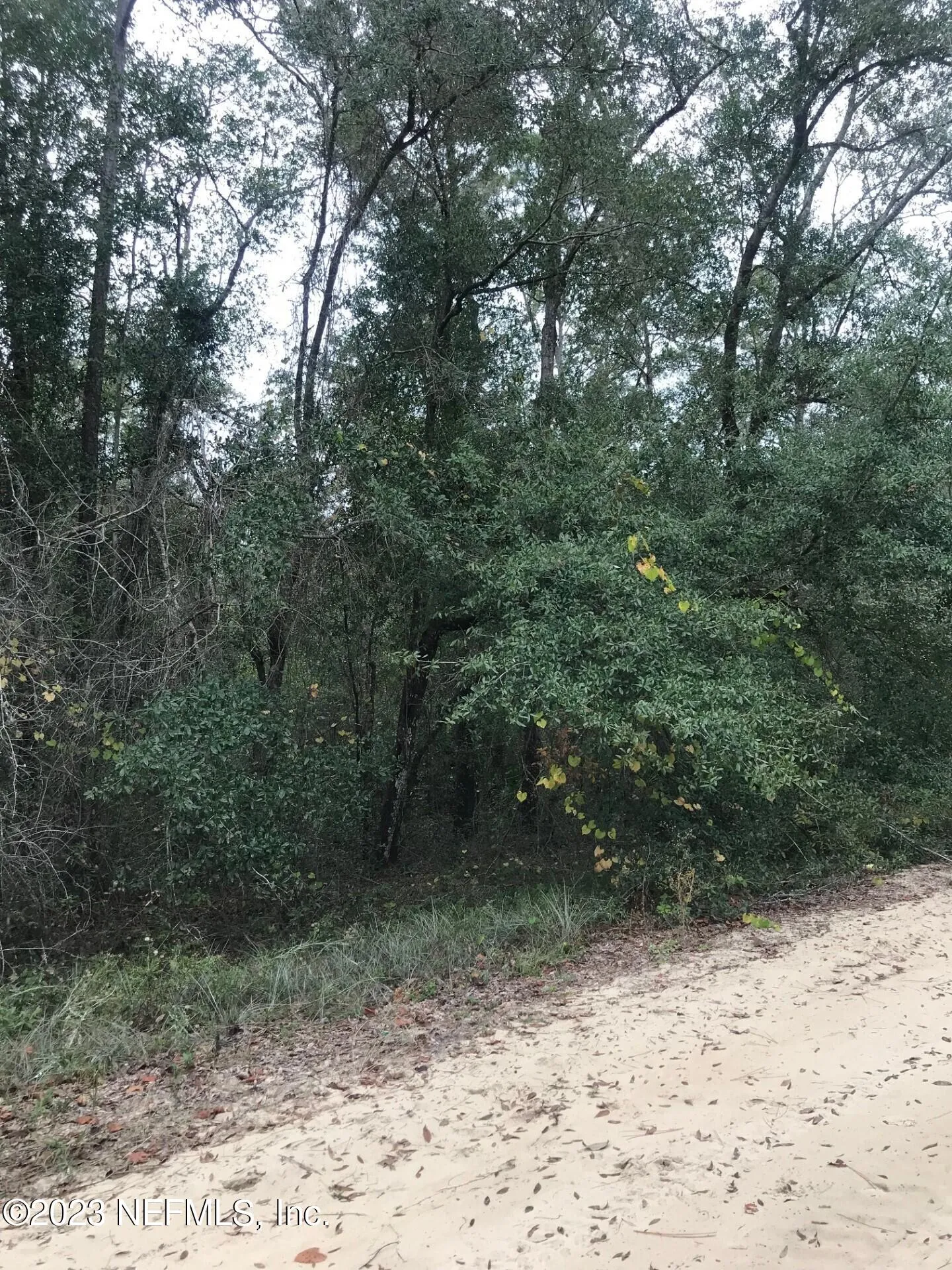 Lot 27 Brett Avenue Interlachen FL 32148
