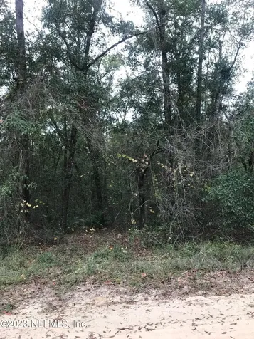 Lot 27 Brett Avenue Interlachen FL 32148