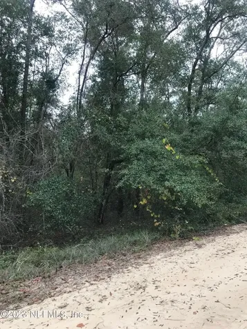 Lot 27 Brett Avenue Interlachen FL 32148