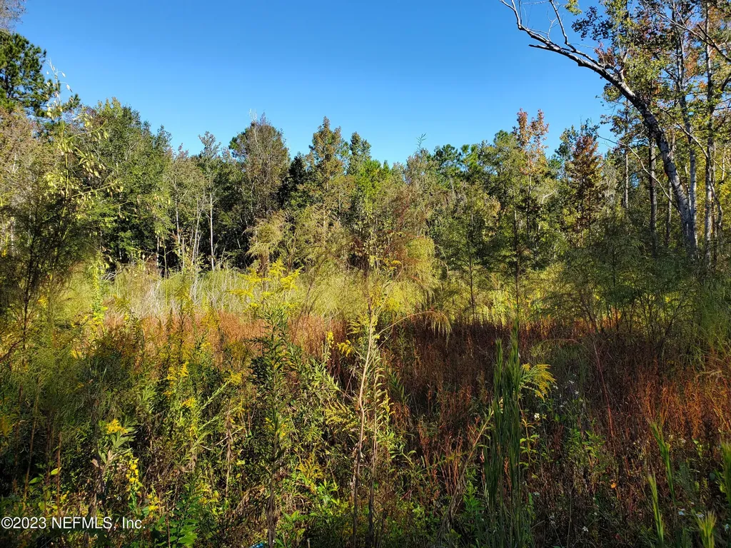 234 Aster Avenue Middleburg FL 32068