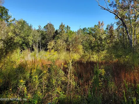234 Aster Avenue Middleburg FL 32068