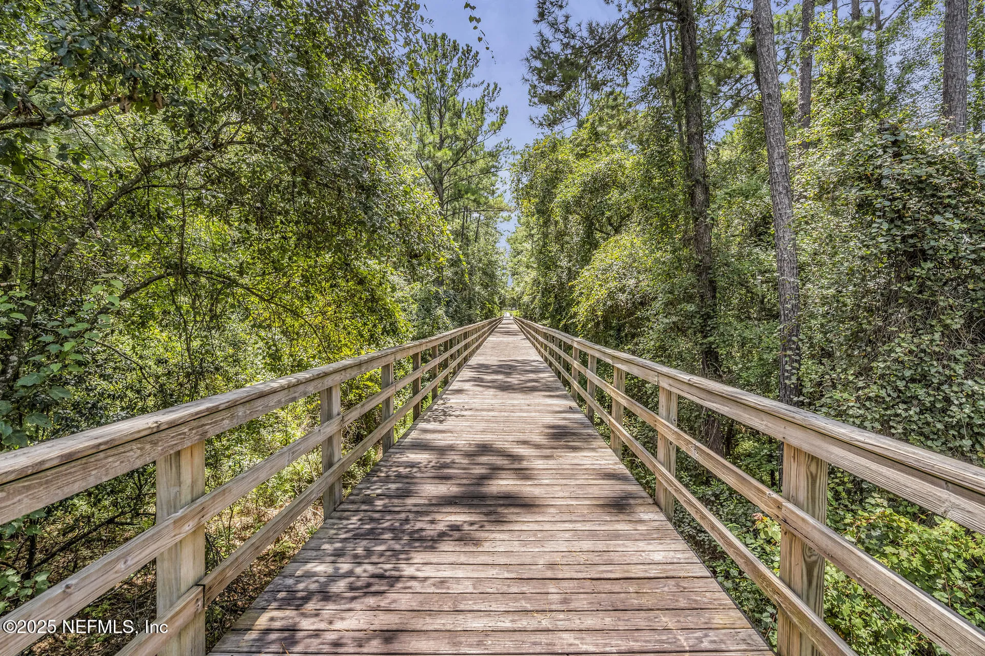 3188 Lowgap Place Green Cove Springs FL 32043