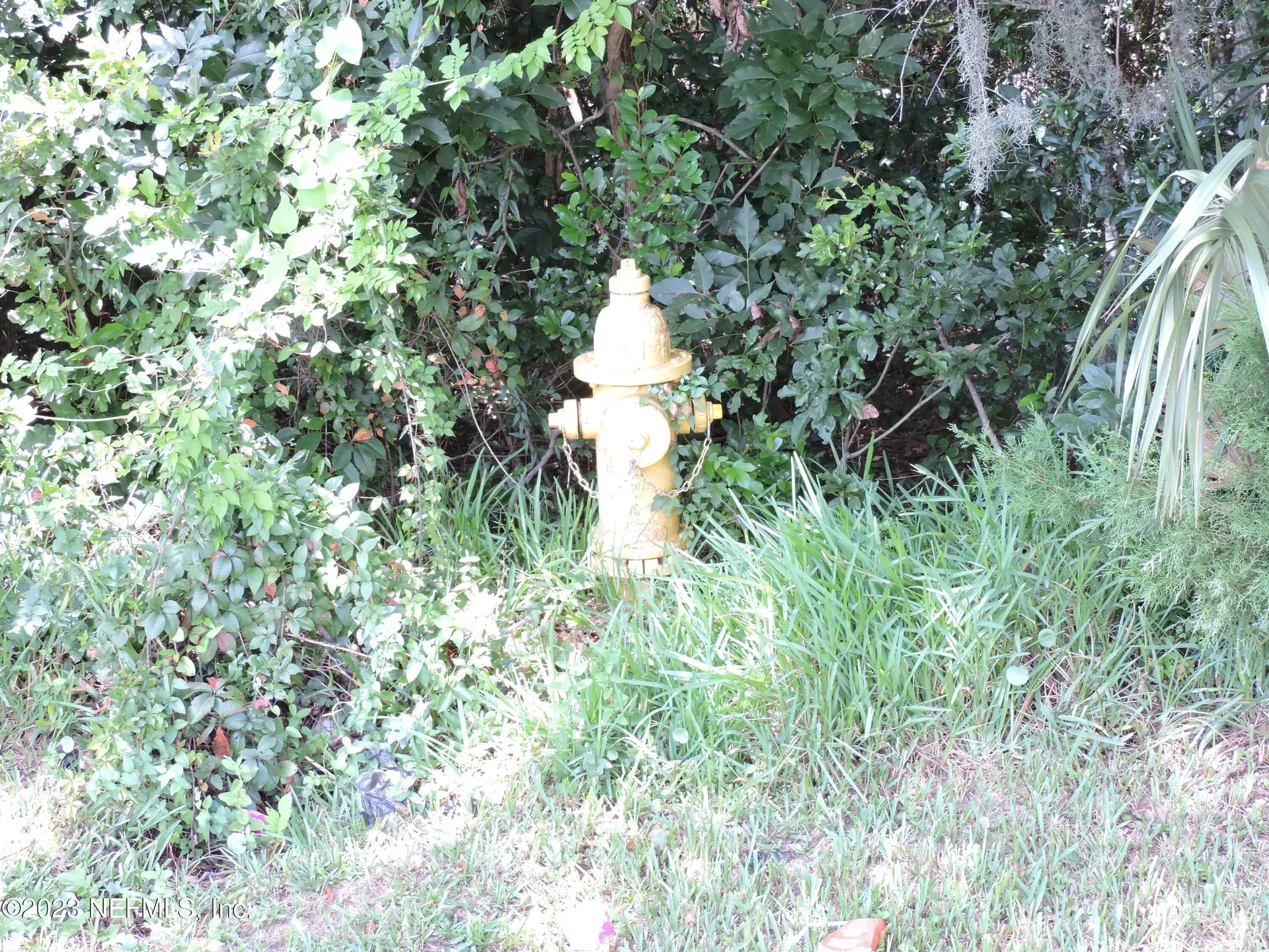 12520 Yellow Bluff Road Jacksonville FL 32226