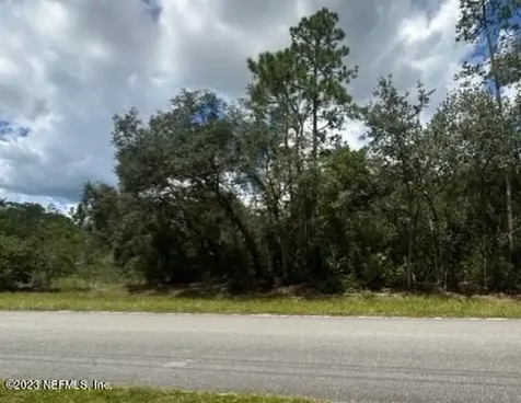 203 Whispering Pines Road Georgetown FL 32139