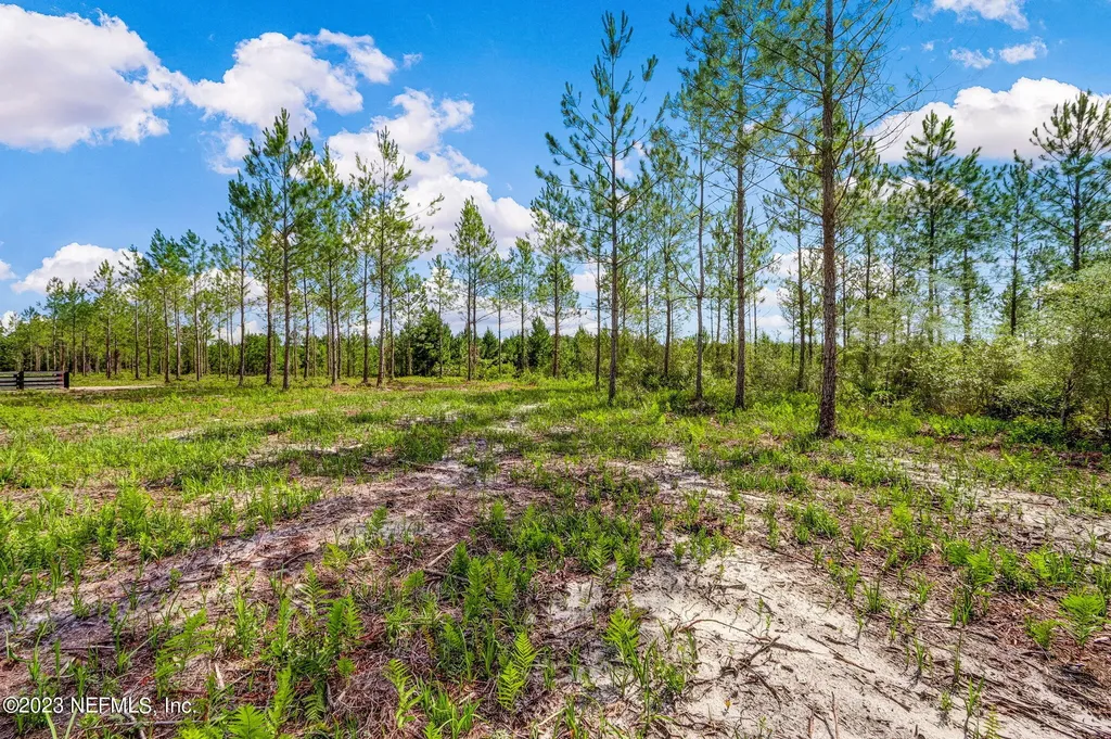 Lot 8 Georgia Street Hilliard FL 32046