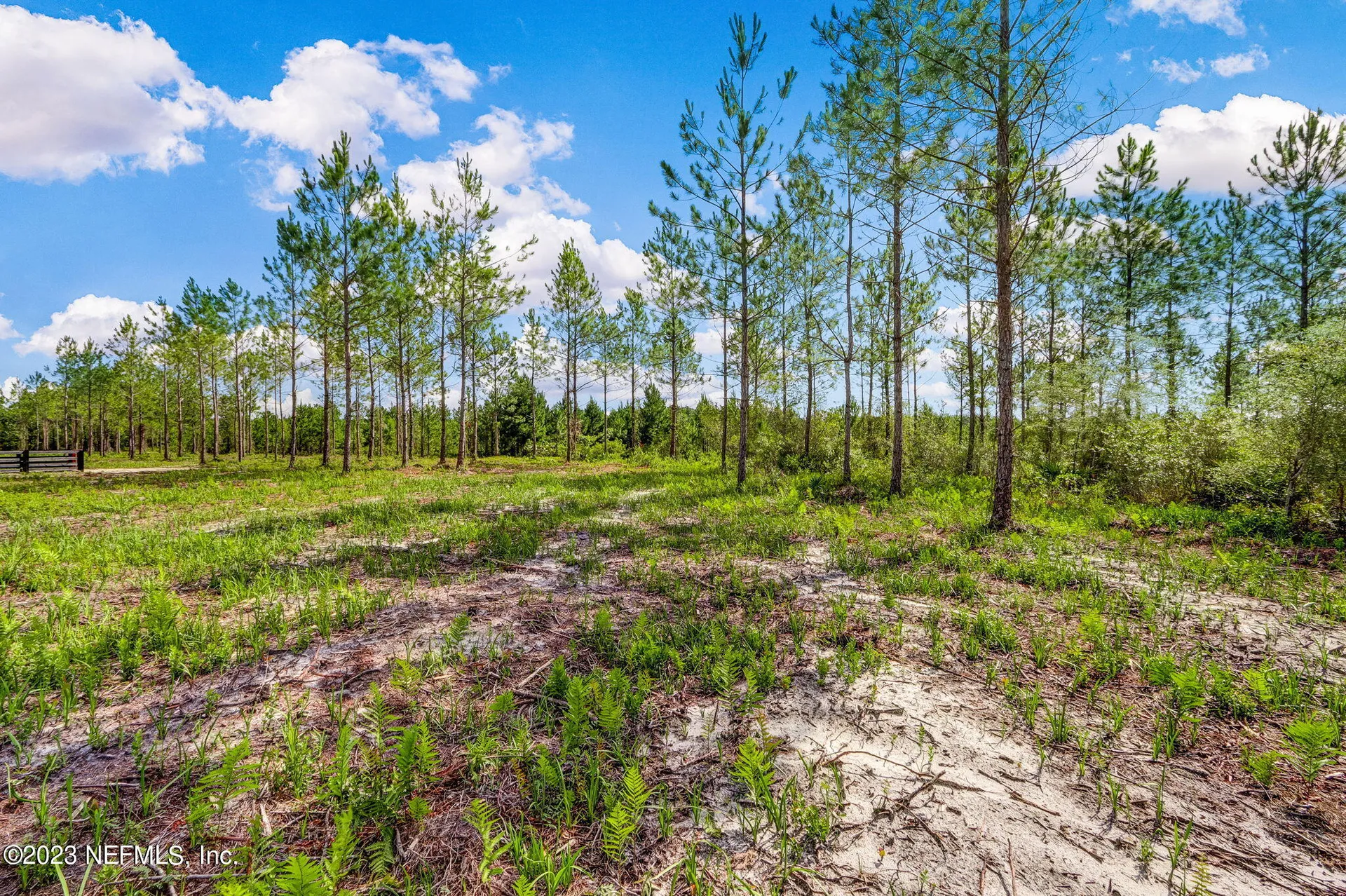 Lot 8 Georgia Street Hilliard FL 32046