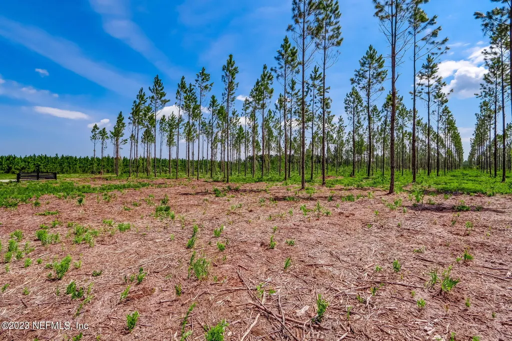 Lot 10 Georgia Street Hilliard FL 32046