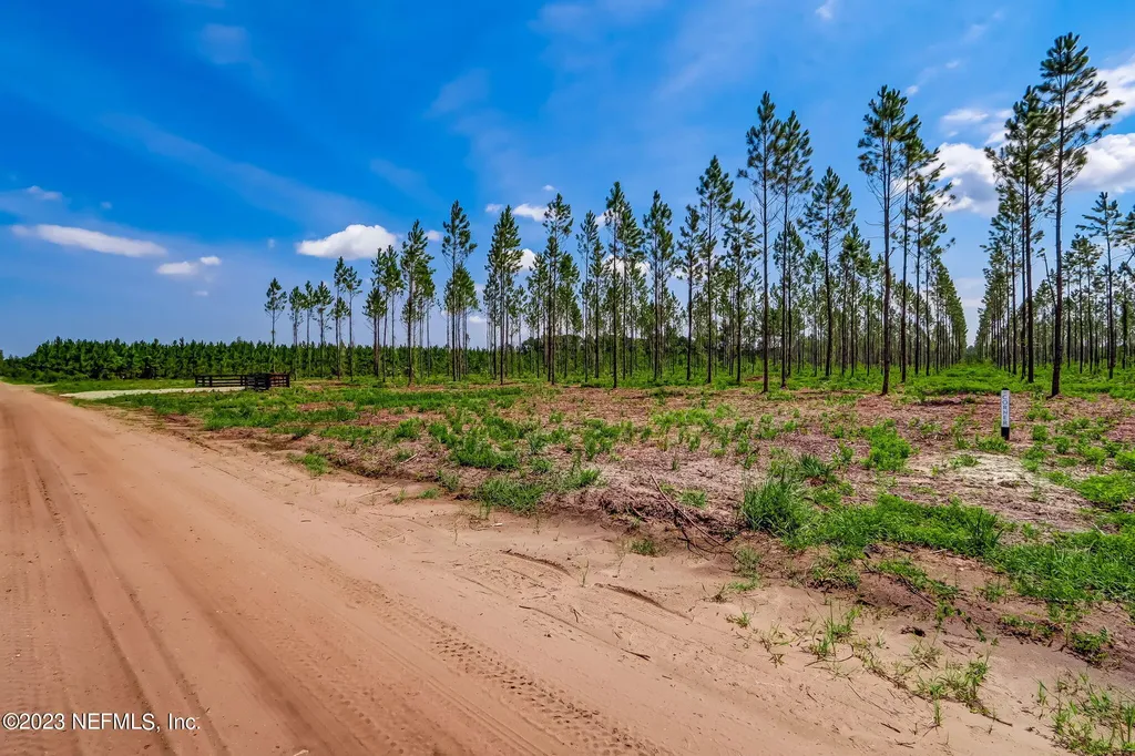 Lot 10 Georgia Street Hilliard FL 32046