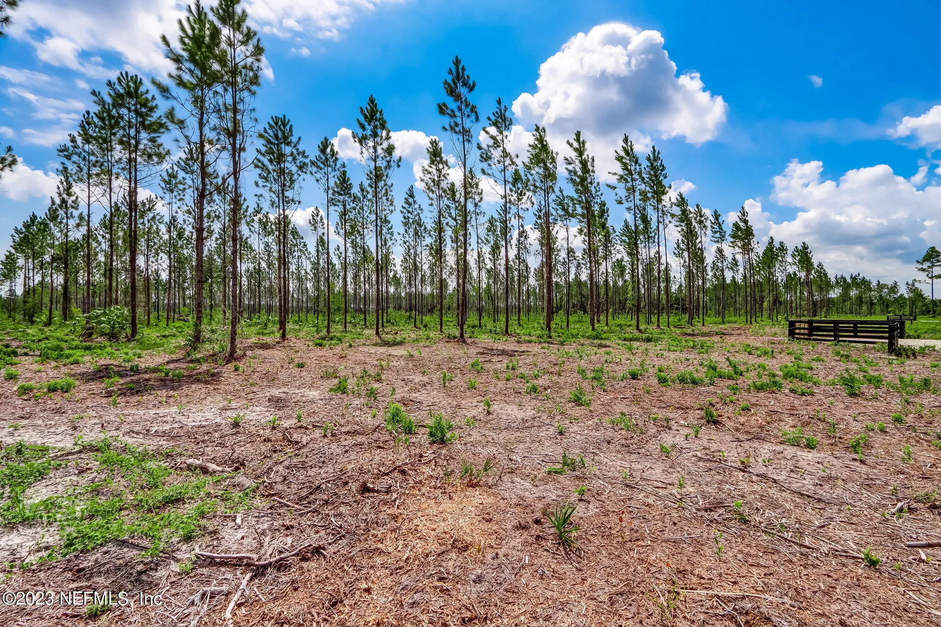Lot 10 Georgia Street Hilliard FL 32046
