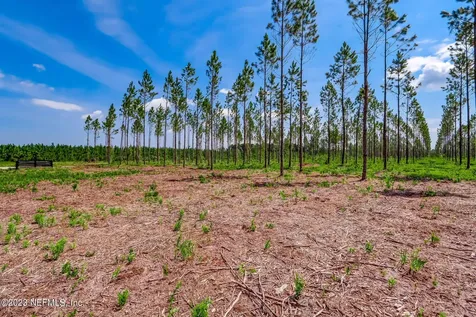 Lot 10 Georgia Street Hilliard FL 32046