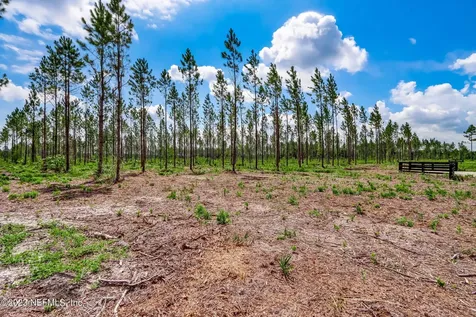 Lot 10 Georgia Street Hilliard FL 32046