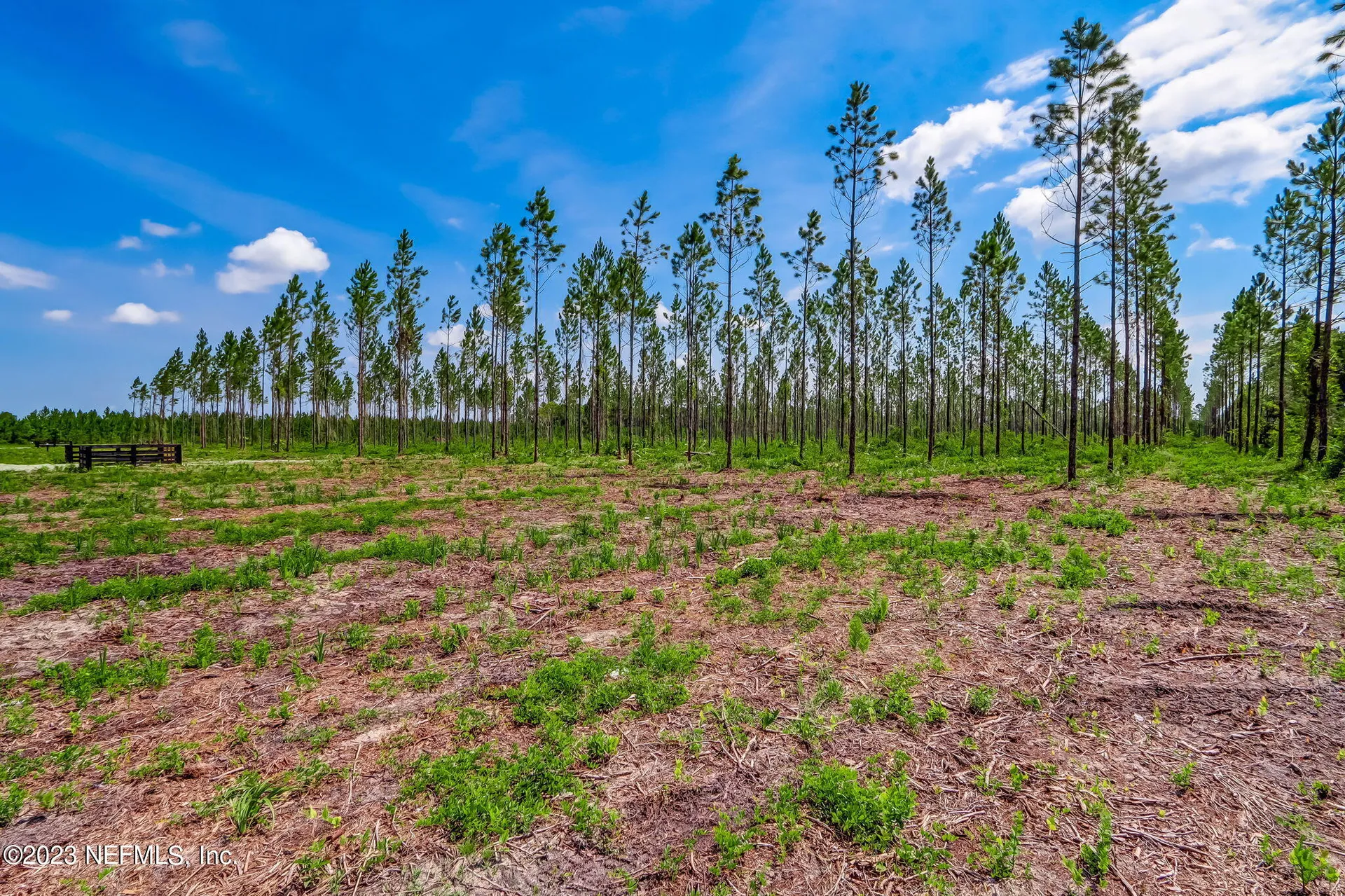Lot 11 Georgia Street Hilliard FL 32046