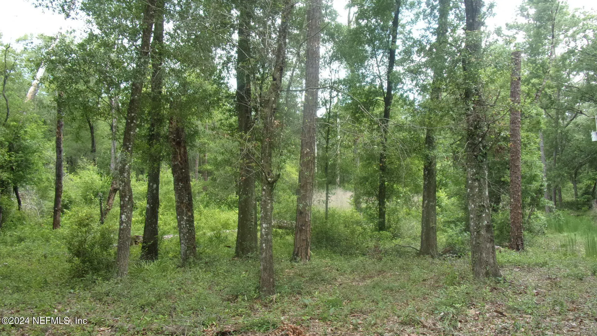141 Crosby Road Florahome FL 32140