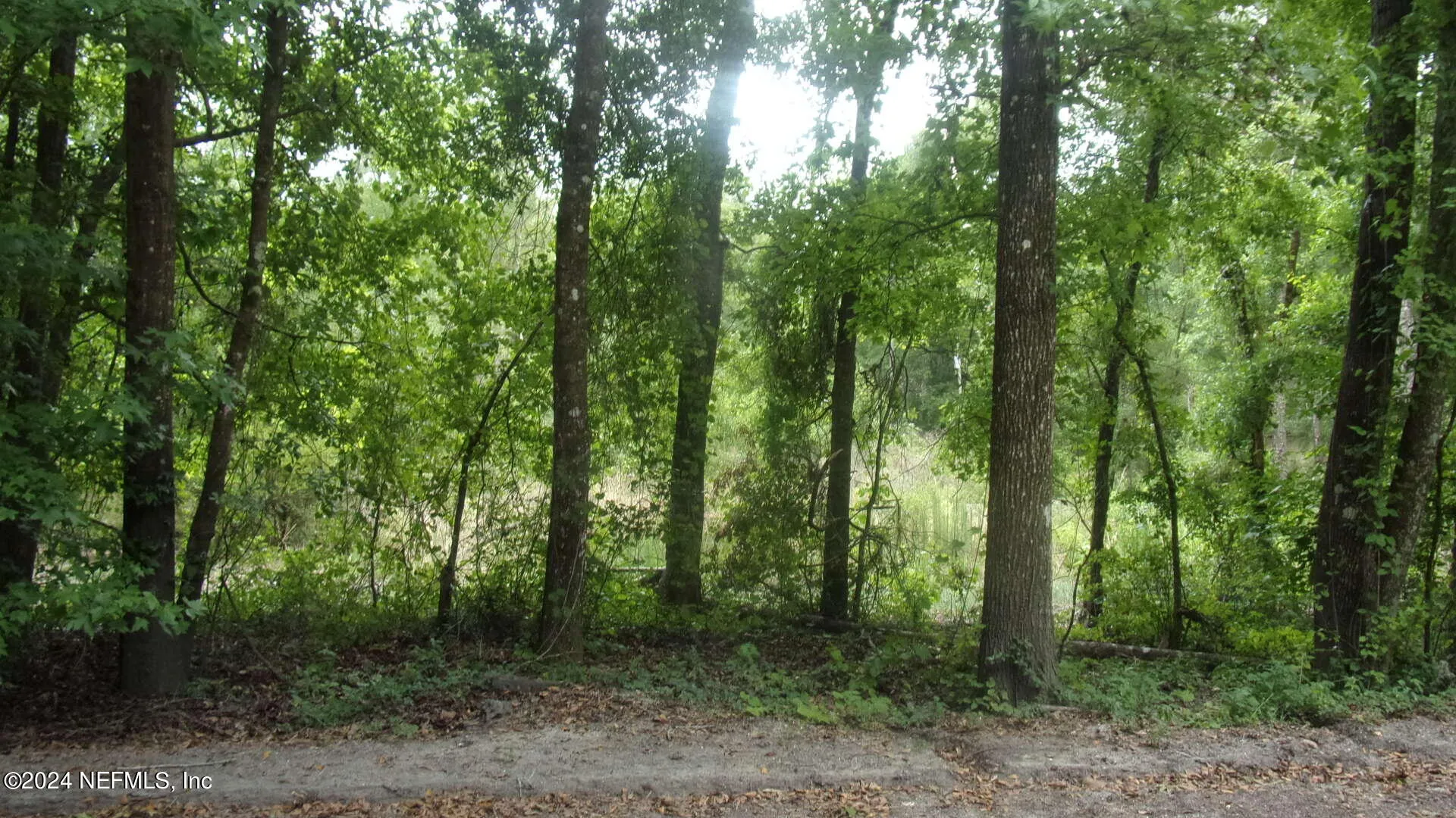 141 Crosby Road Florahome FL 32140