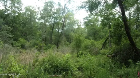 141 Crosby Road Florahome FL 32140