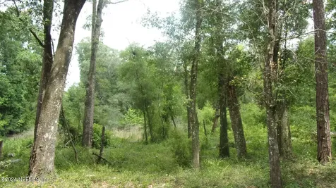 141 Crosby Road Florahome FL 32140