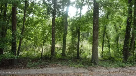 141 Crosby Road Florahome FL 32140