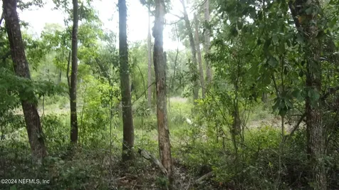 141 Crosby Road Florahome FL 32140