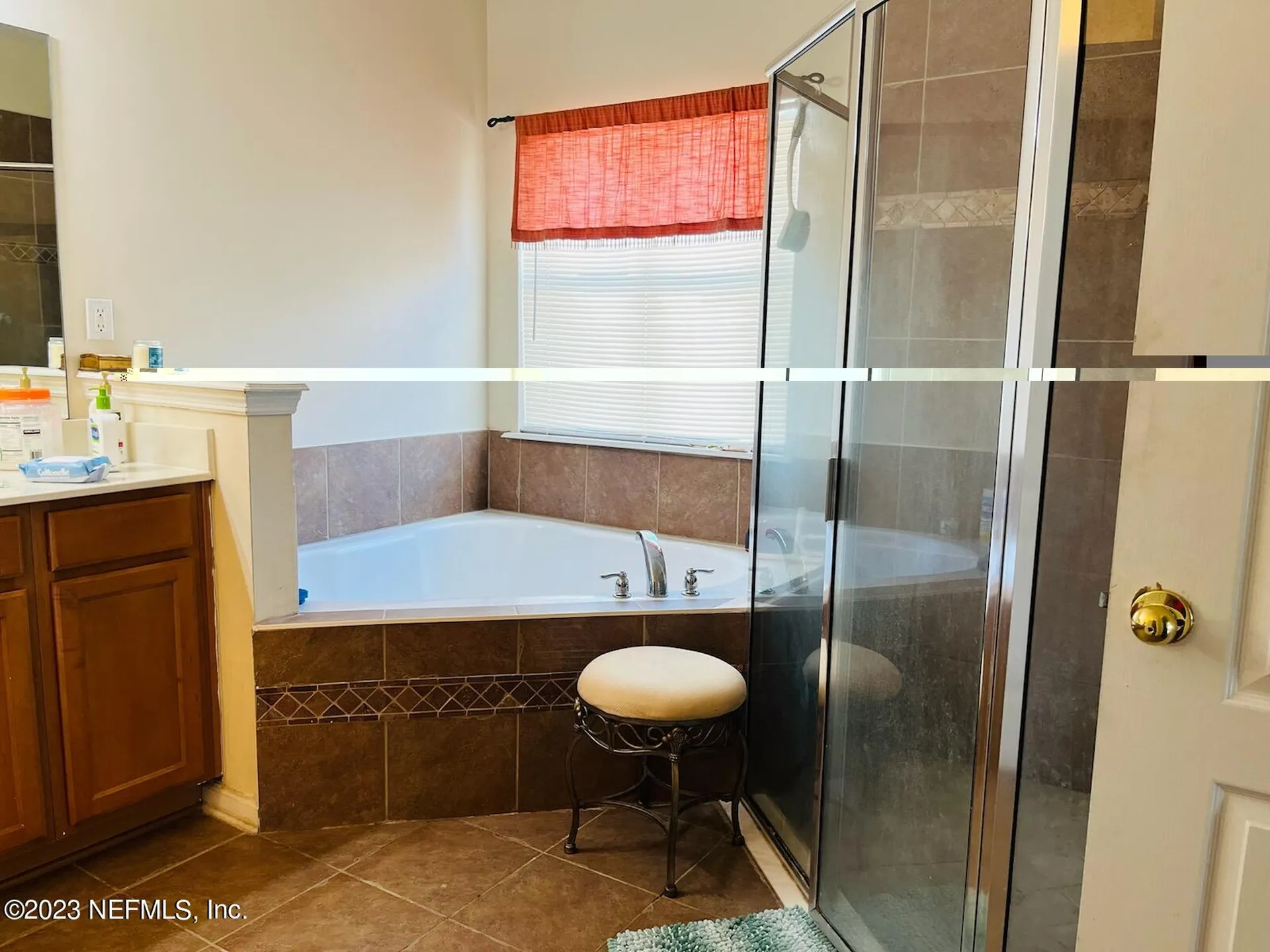 3139 Wandering Oaks Drive Orange Park FL 32065