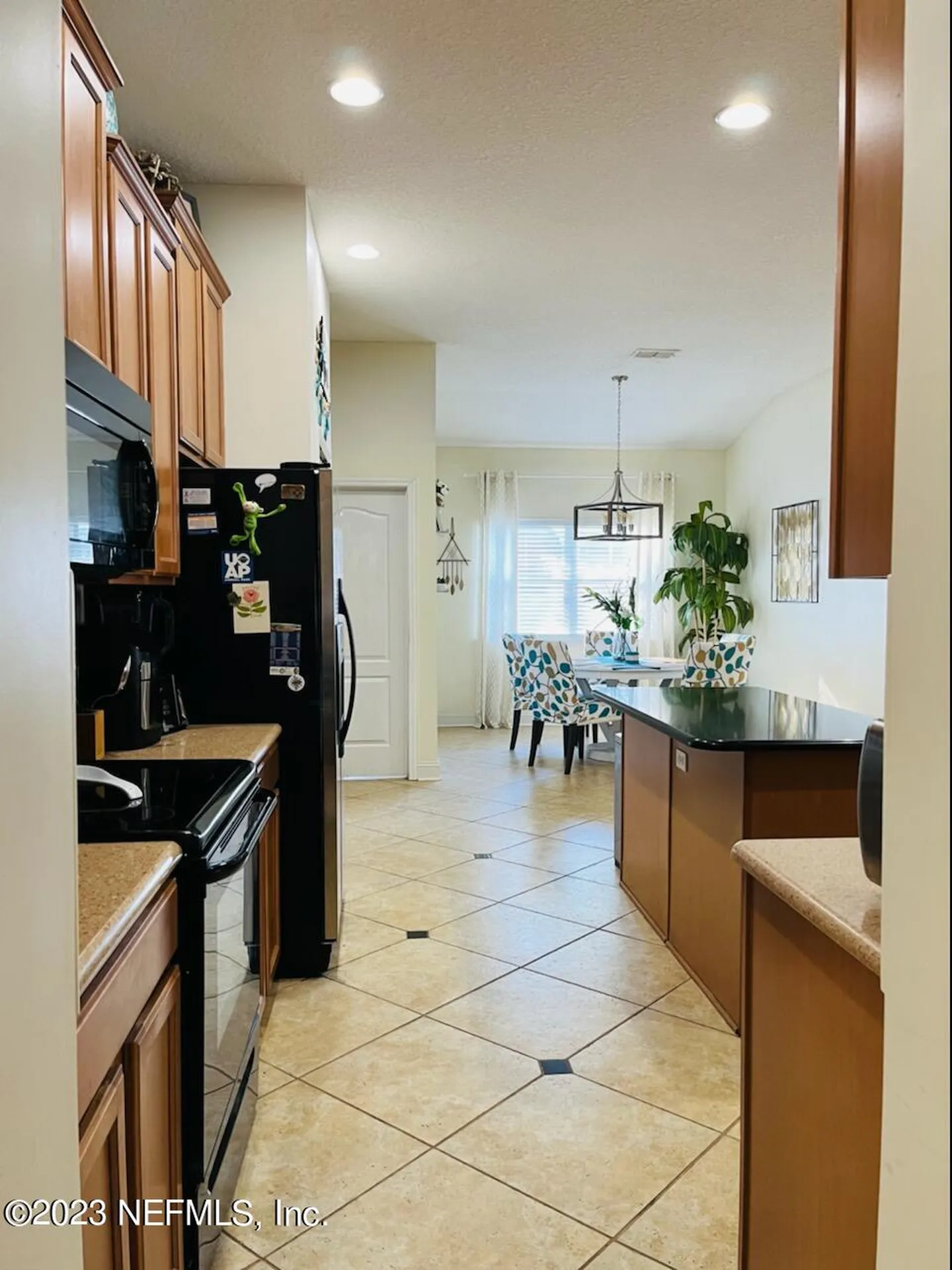 3139 Wandering Oaks Drive Orange Park FL 32065