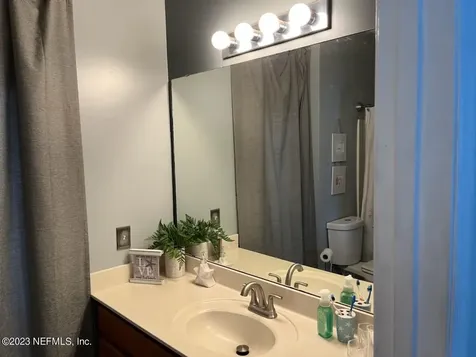 3139 Wandering Oaks Drive Orange Park FL 32065