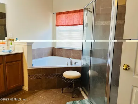 3139 Wandering Oaks Drive Orange Park FL 32065